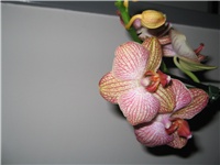 7436e9b4-Picture 021.jpg